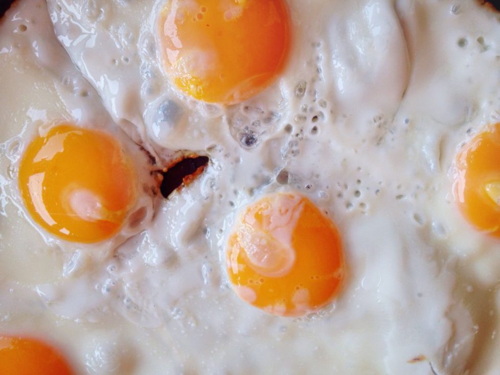 Liberal Eggs from Litchfield, Ohio! Get 'em fresh, free range, and